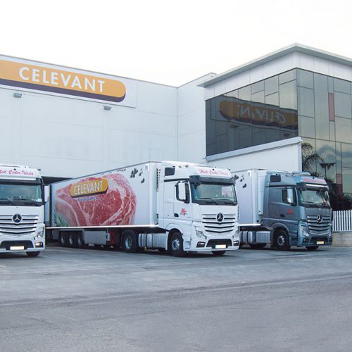 celevant carne de vacuno