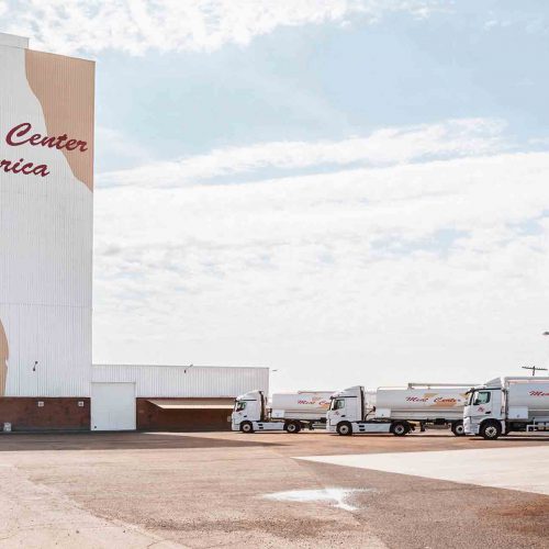 celevant fábrica pienso