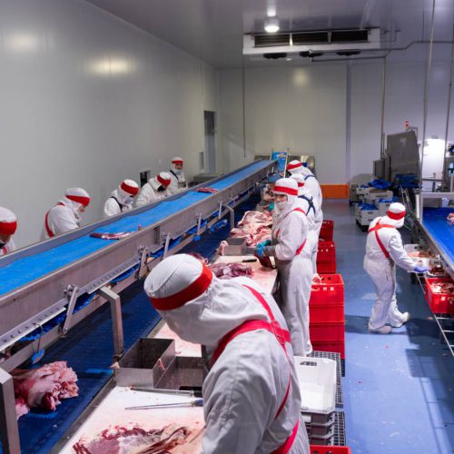 celevant carne de vacuno